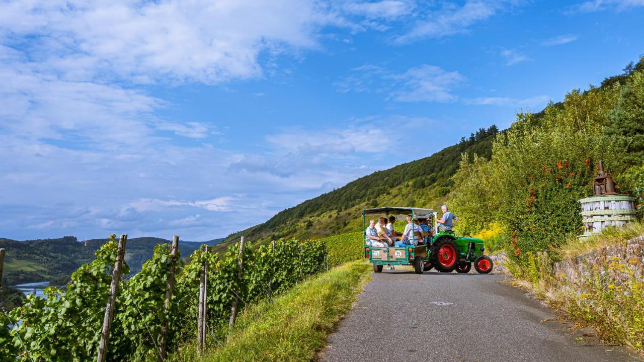 Ferienweingut Hirschen Schulstrasse Bed and Breakfast Burg  Exteriör bild