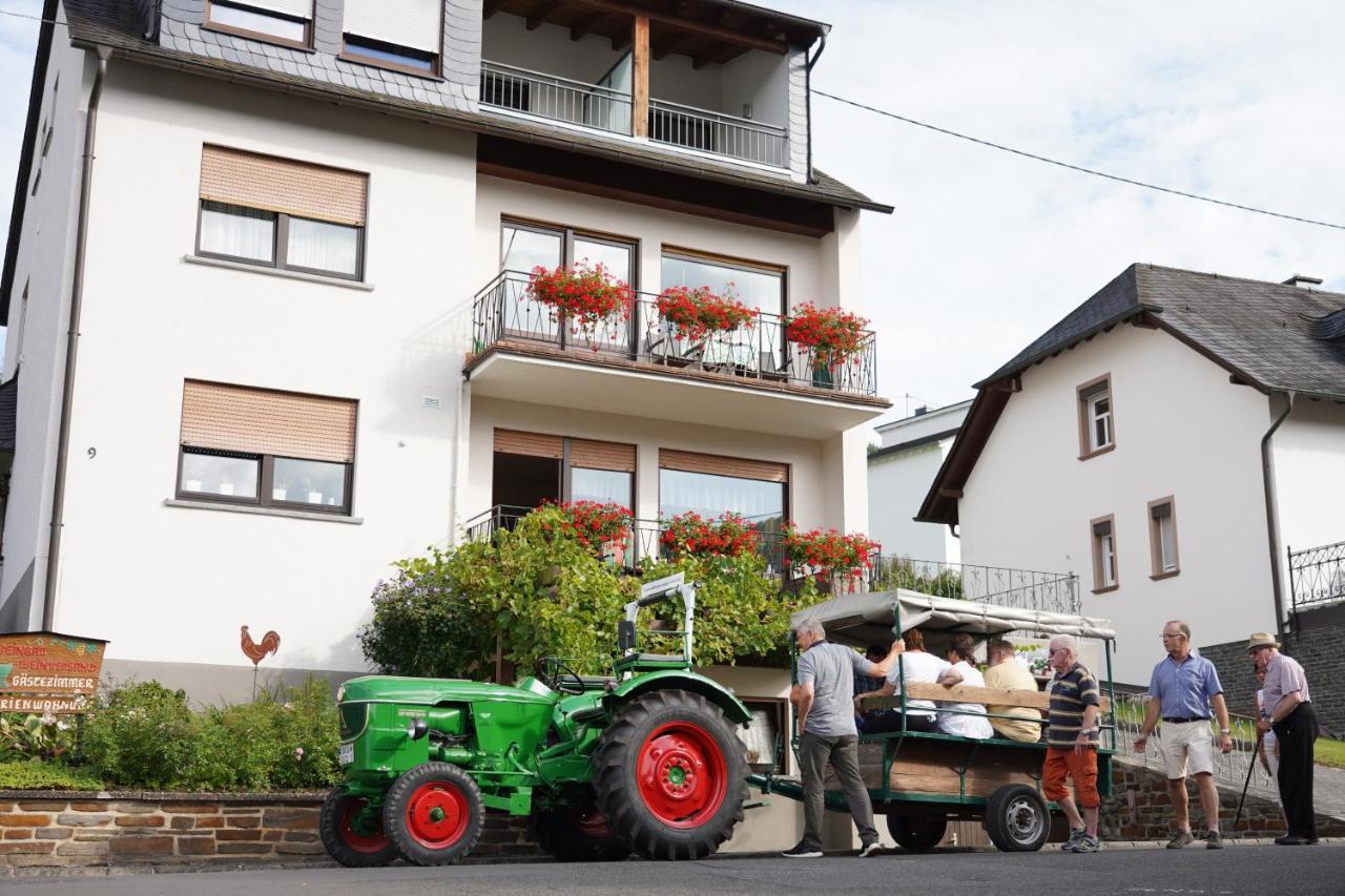 Ferienweingut Hirschen Schulstrasse Bed and Breakfast Burg  Exteriör bild
