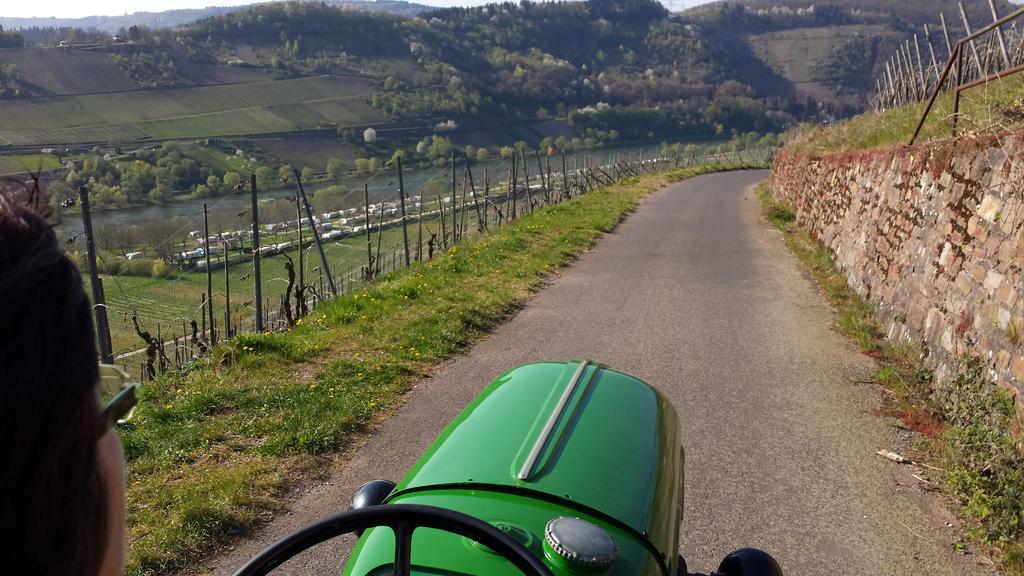 Ferienweingut Hirschen Schulstrasse Bed and Breakfast Burg  Exteriör bild