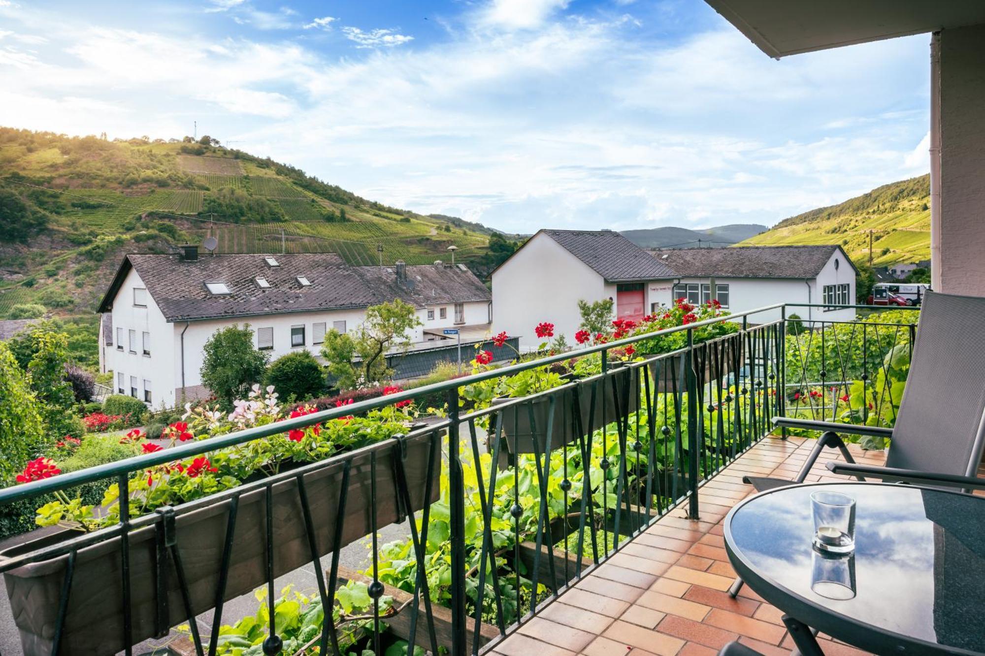 Ferienweingut Hirschen Schulstrasse Bed and Breakfast Burg  Exteriör bild