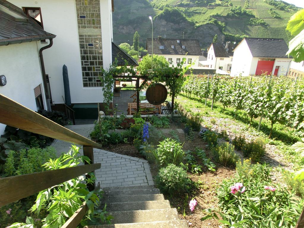 Ferienweingut Hirschen Schulstrasse Bed and Breakfast Burg  Exteriör bild