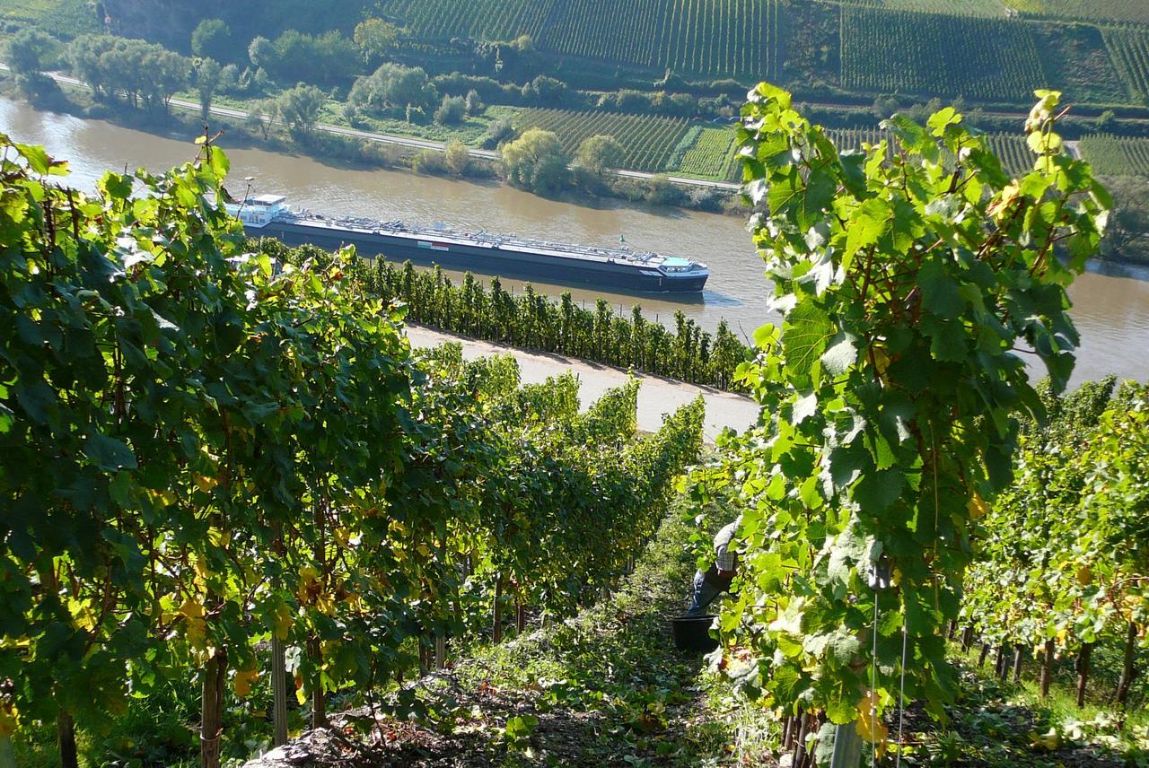 Ferienweingut Hirschen Schulstrasse Bed and Breakfast Burg  Exteriör bild