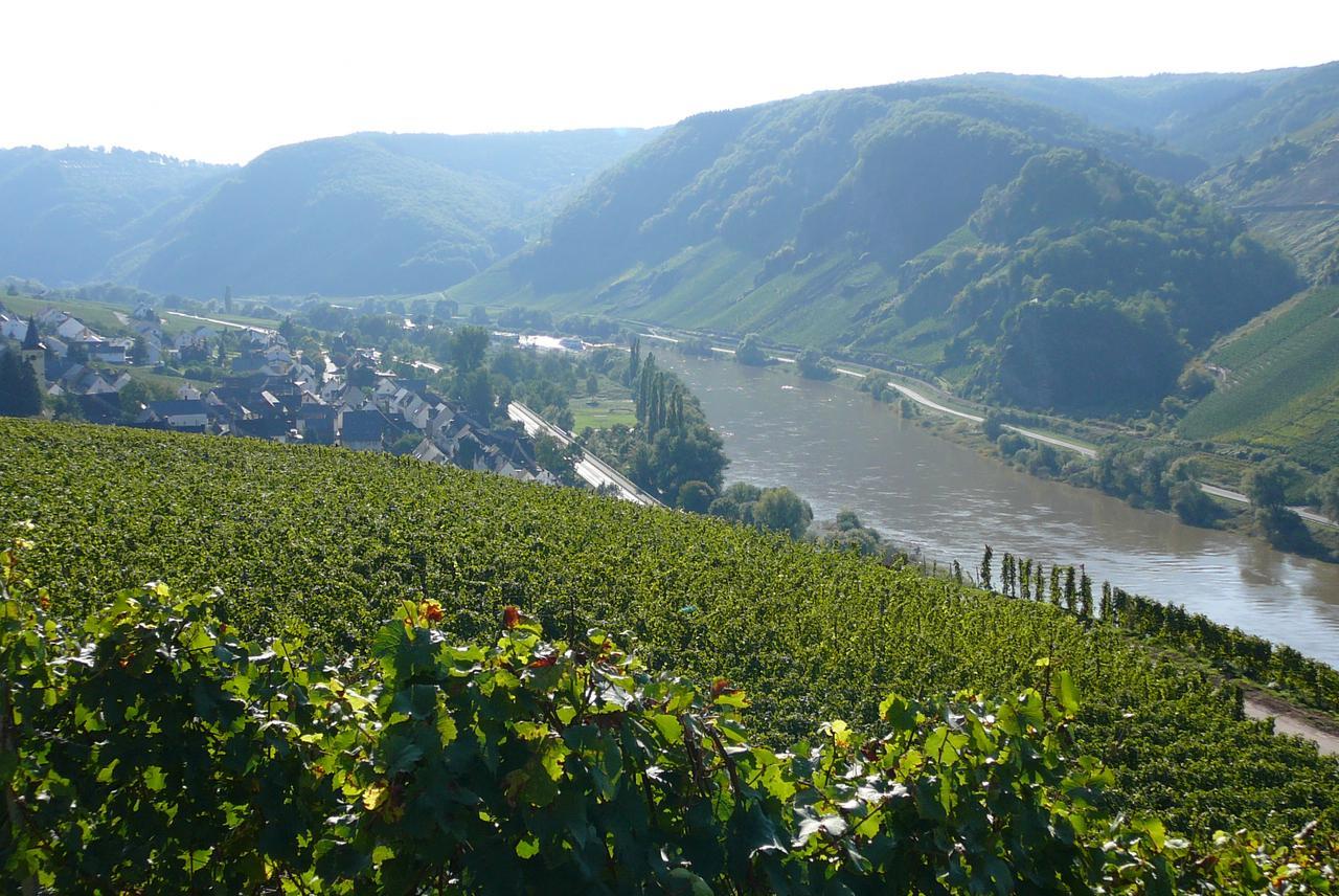 Ferienweingut Hirschen Schulstrasse Bed and Breakfast Burg  Exteriör bild